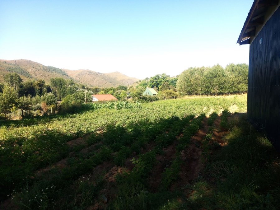 Commercial Property for Sale in Haarlem Western Cape